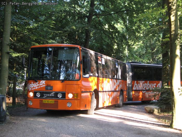 Centrum Turist/Billigbus.dk UV93492, Dyrehaven - Linie 1