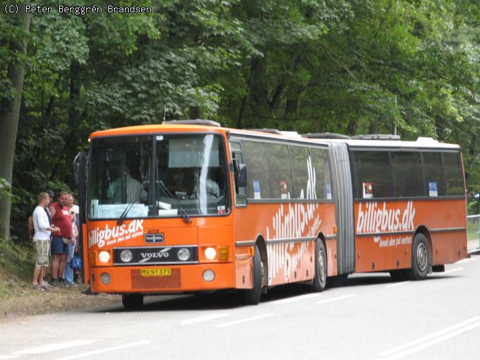 Centrum Turist/Billigbus.dk MV97373, Dyrehaven - Linie 1