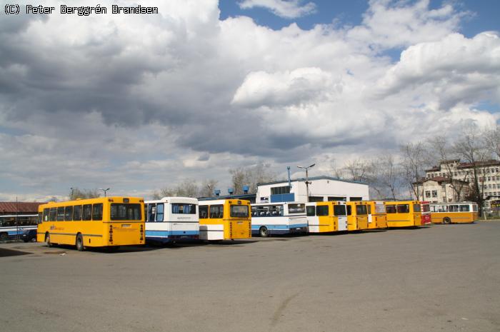 DAB x 8 hos PKS Nowy Sacz